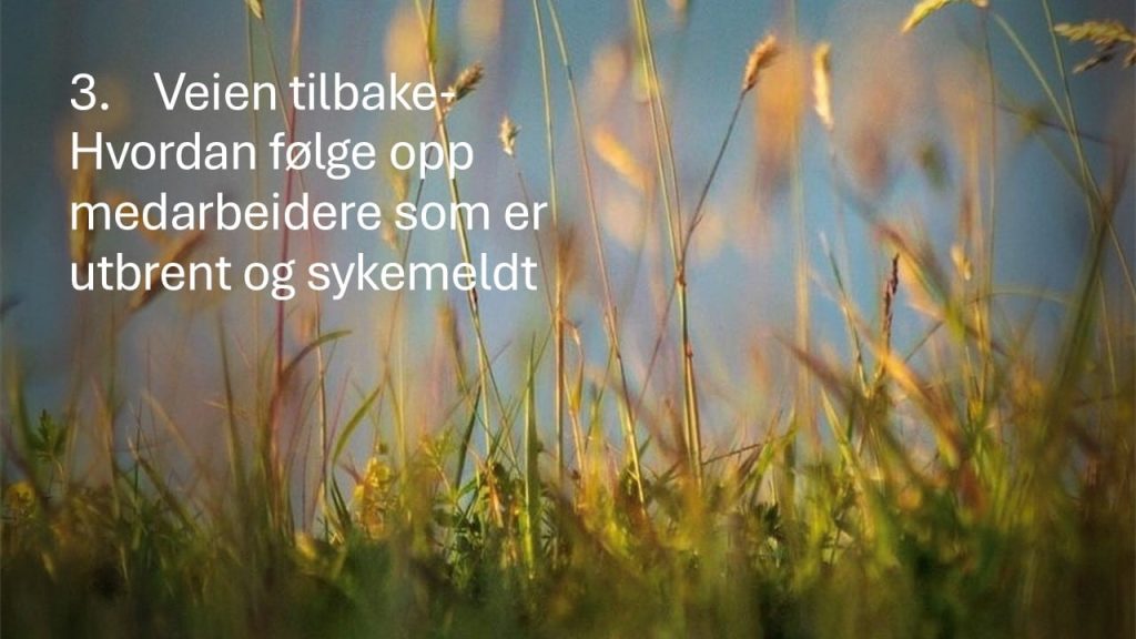 Veien videre- hvordan følge opp medarbeidere som har blitt sykemeldt 1
