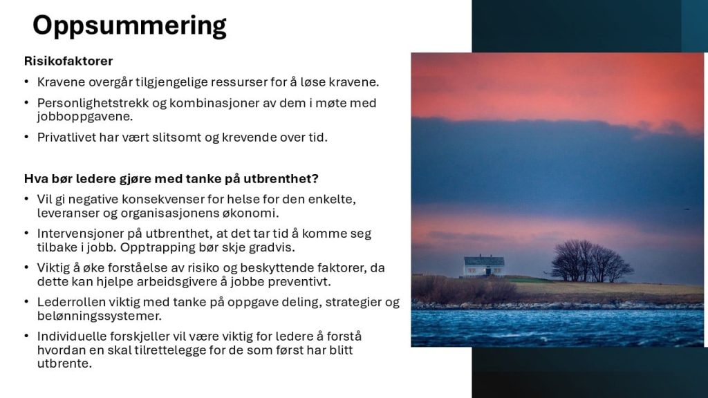 Oppsummering 1