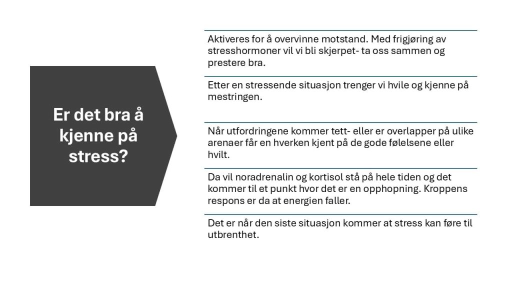 Hva er utbrenthet 6