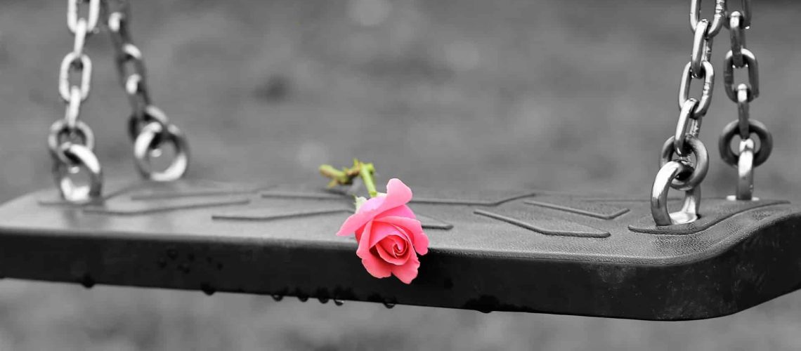 pink-rose-on-empty-swing-3656894_1920